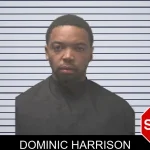 Dominic Harrison mugshot