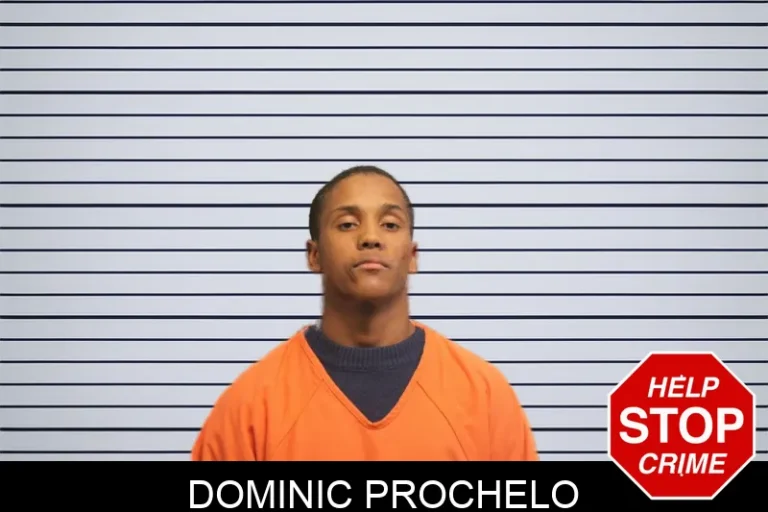 Dominic Prochelo mugshot – Lumpkin County , Georgia Dominic Prochelo