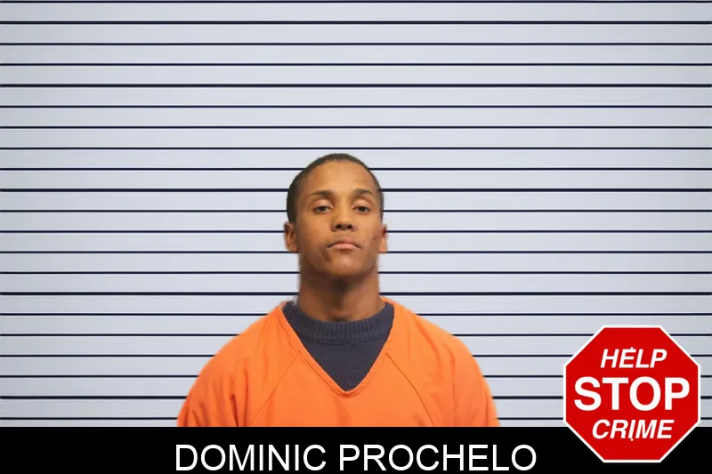 Dominic Prochelo mugshot