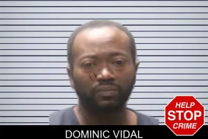 Dominic Vidal mugshot
