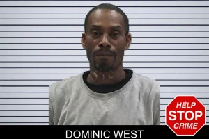 Dominic West mugshot