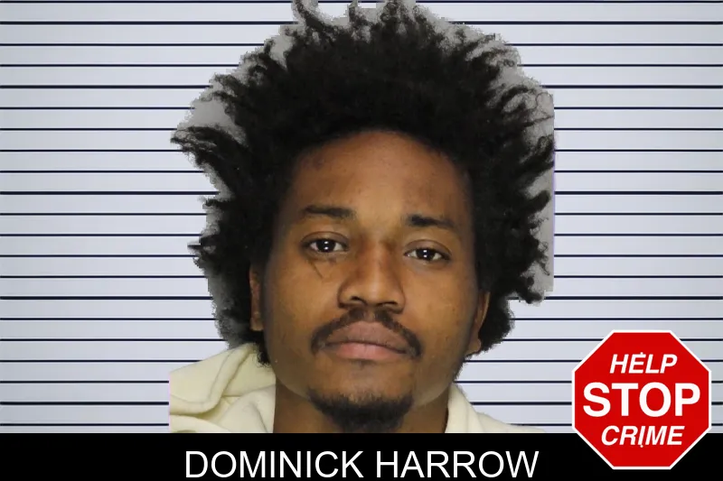 Dominick Harrow mugshot – Cobb County , Georgia Dominick Harrow mugshot