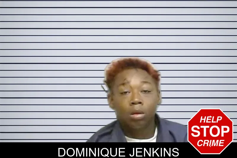 Dominique Jenkins mugshot