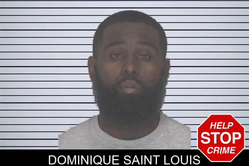 Dominique Saint Louis mugshot – Douglas County , Georgia Dominique Saint Louis mugshot