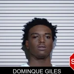 Dominque Giles mugshot – Glynn County , Georgia Dominque Giles mugshot