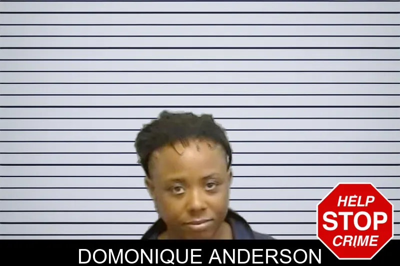 Domonique Anderson mugshot