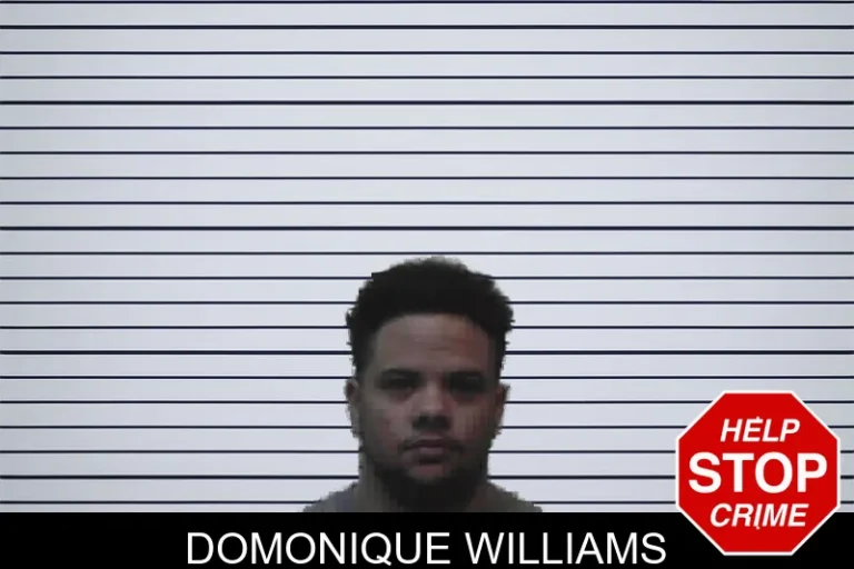 Domonique Williams mugshot – Meriwether County , Georgia Domonique Williams