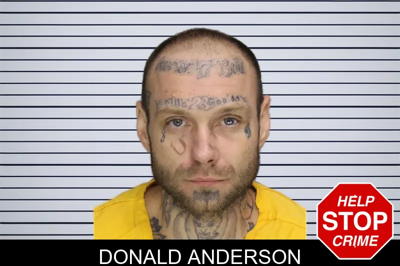 Donald Anderson mugshot