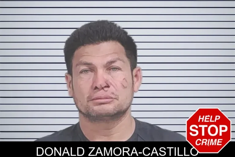 Donald Zamora-Castillo mugshot – Lowndes County , Georgia Donald Zamora-Castillo