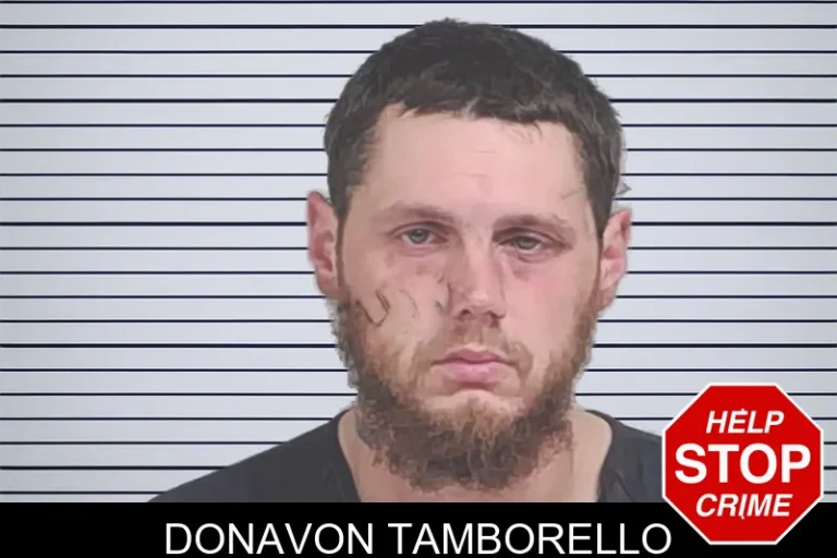 Donavon Tamborello