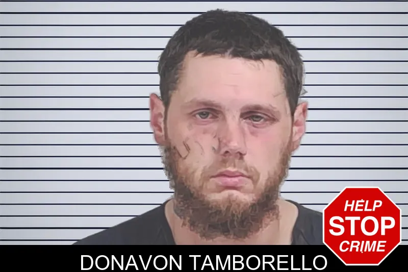 Donavon Tamborello mugshot