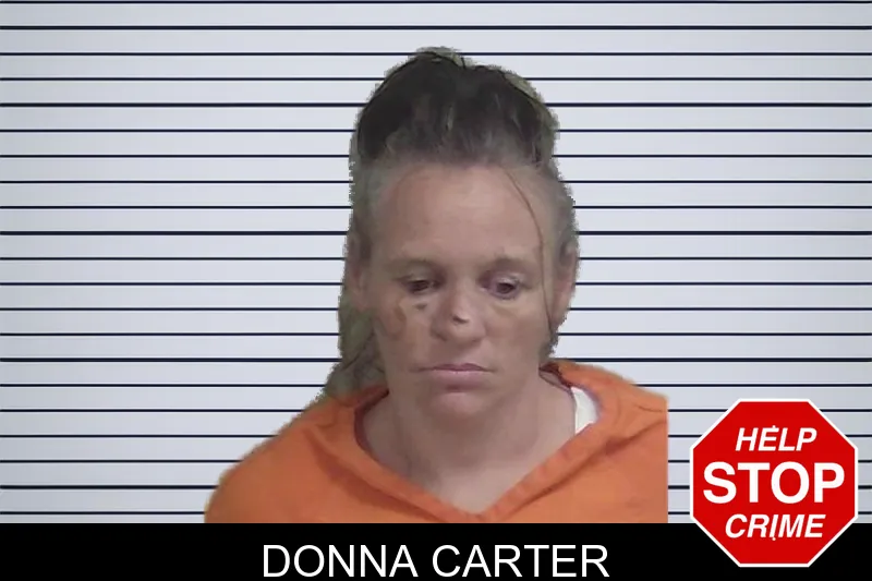 Donna Carter mugshot