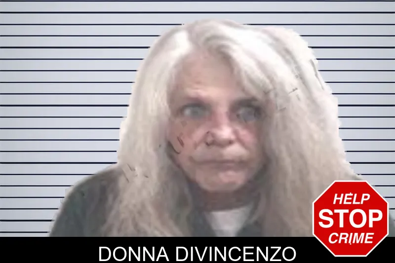 Donna Divincenzo mugshot