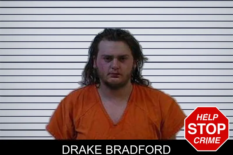 Drake Bradford mugshot