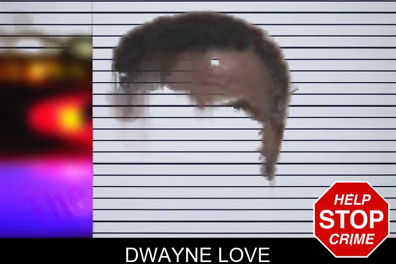 Dwayne Love mugshot