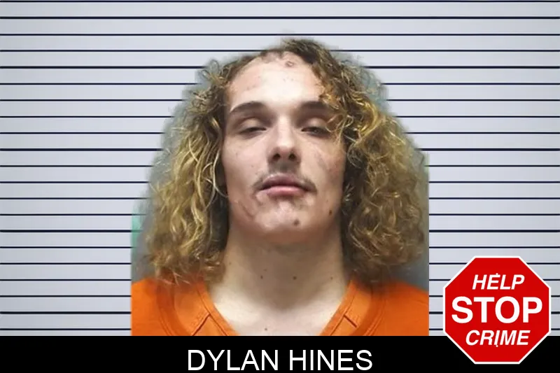 Dylan Hines mugshot – Cherokee County , Georgia Dylan Hines mugshot