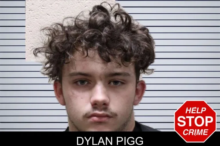 Dylan Pigg mugshot – Haralson County , Georgia Dylan Pigg