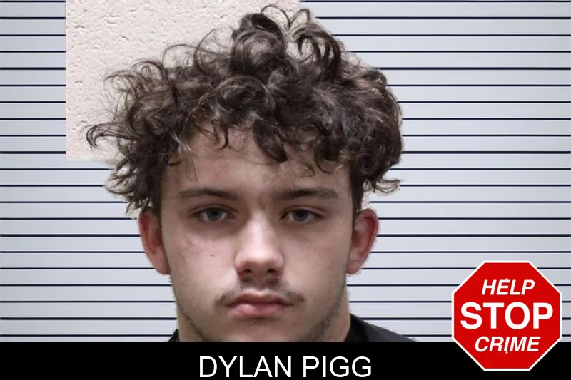 Dylan Pigg mugshot – Haralson County , Georgia Dylan Pigg mugshot