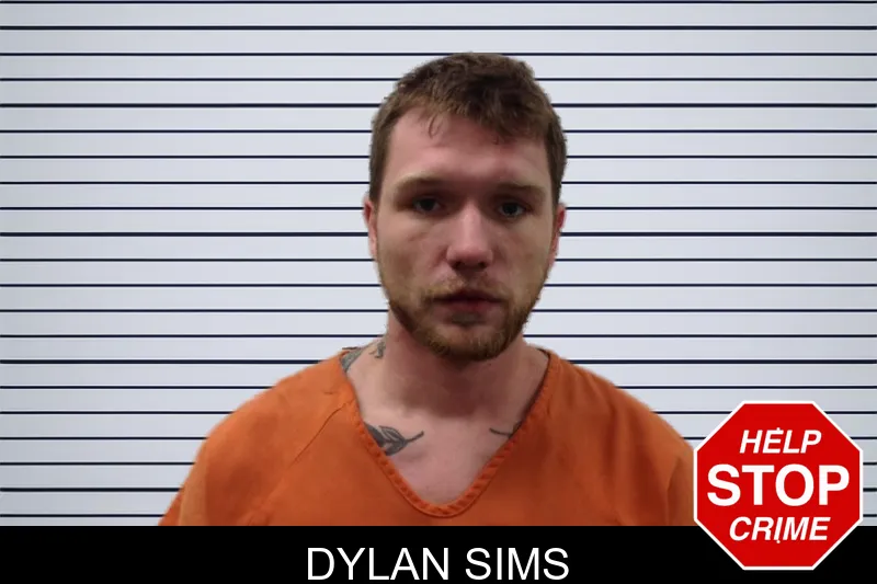 Dylan Sims mugshot