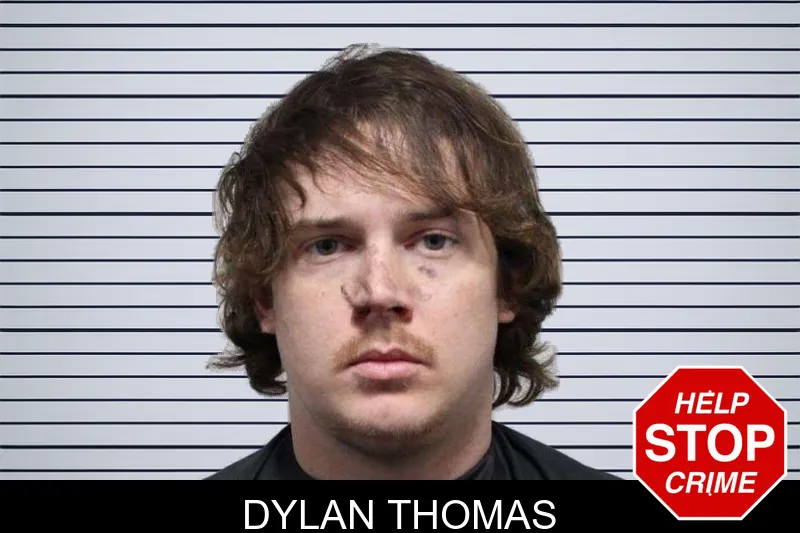 Dylan Thomas mugshot