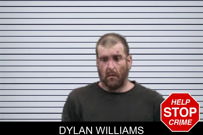 Dylan Williams mugshot