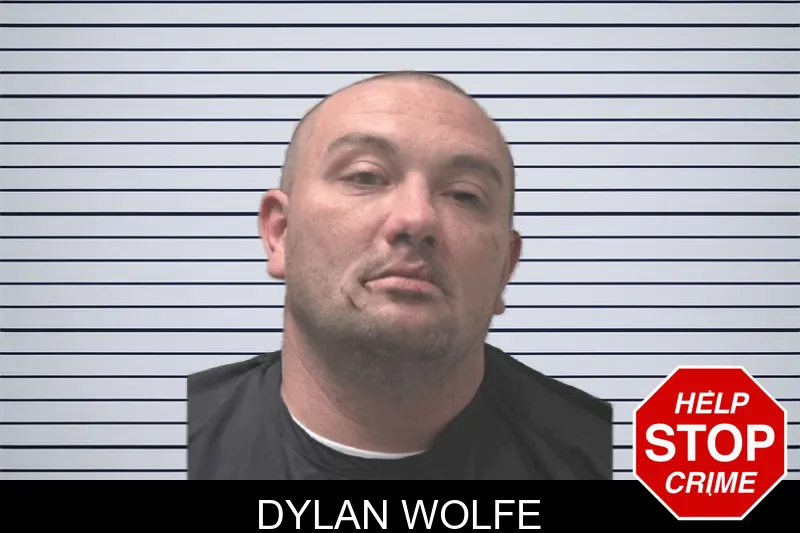 Dylan Wolfe mugshot