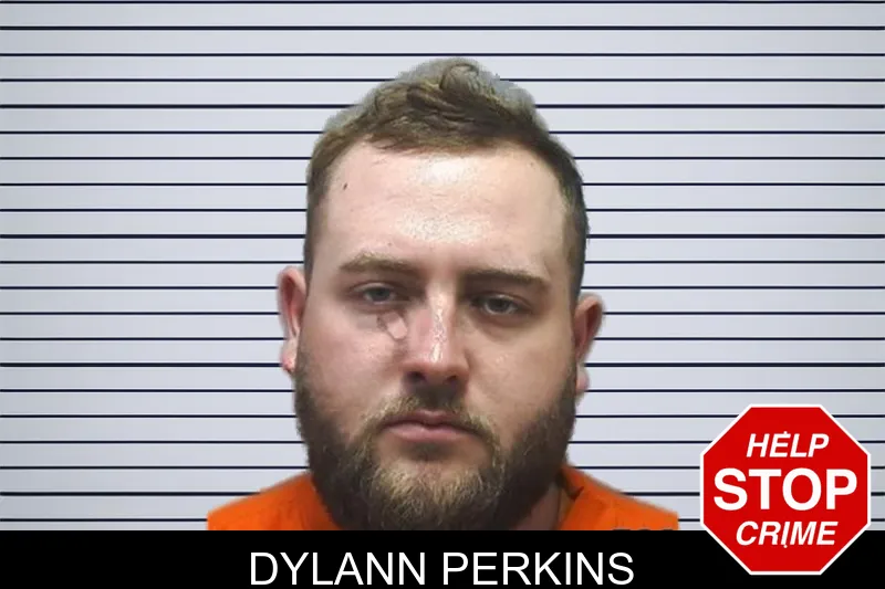 Dylann Perkins mugshot