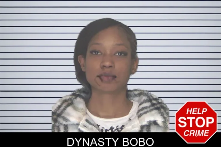 Dynasty Bobo