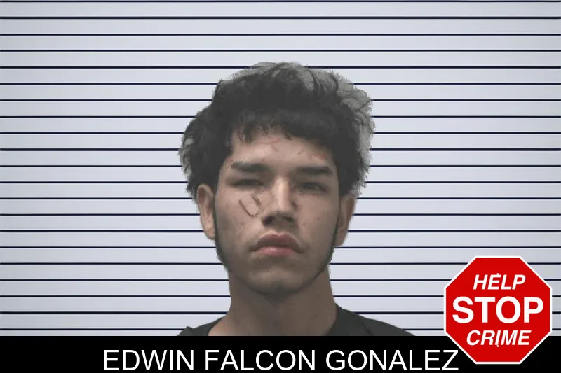 Edwin Falcon Gonalez mugshot