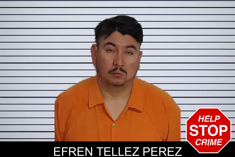 Efren Tellez Perez mugshot