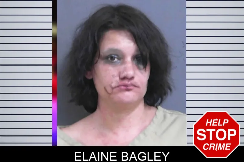 Elaine Bagley mugshot