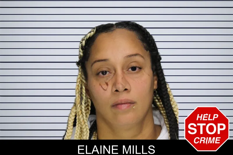 Elaine Mills mugshot