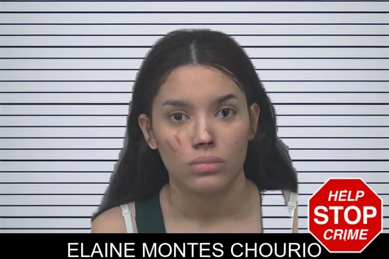 Elaine Montes Chourio mugshot – Gwinnett County , Georgia Elaine Montes Chourio