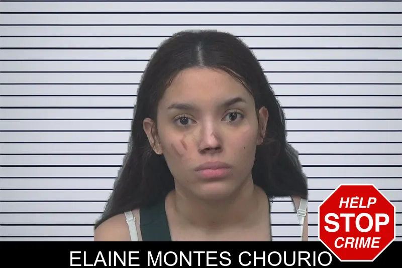 Elaine Montes Chourio mugshot