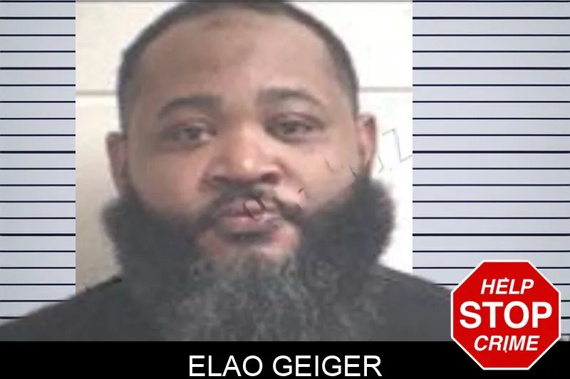 Elao Geiger mugshot – Henry County , Georgia Elao Geiger mugshot