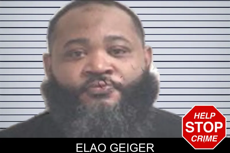 Elao Geiger mugshot – Henry County , Georgia Elao Geiger mugshot