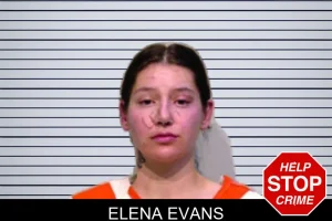 Elena Evans mugshot