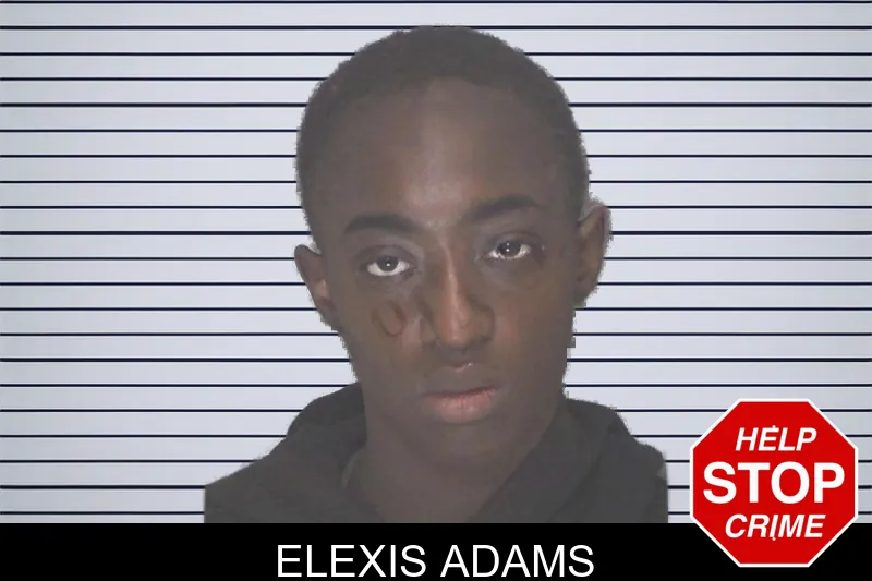 Elexis Adams mugshot – Douglas County , Georgia Elexis Adams mugshot