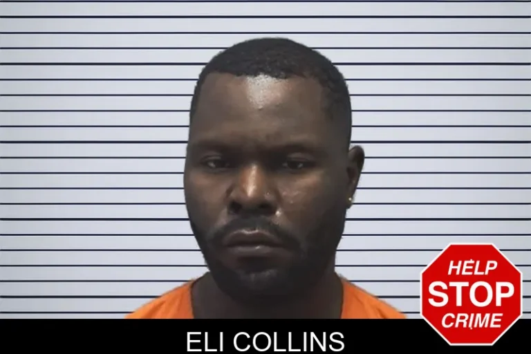 Eli Collins
