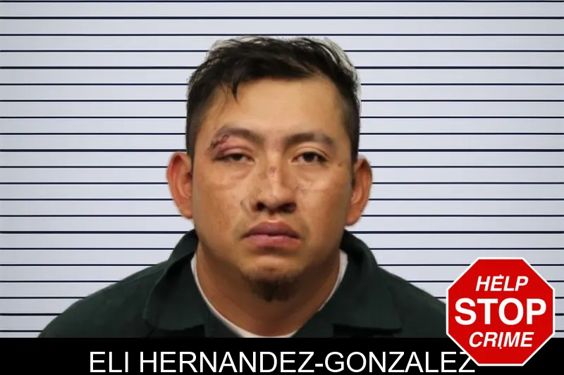 Eli Hernandez-Gonzalez mugshot – Chatham County , Georgia Eli Hernandez-Gonzalez mugshot