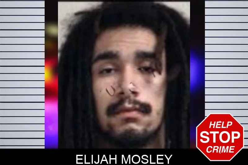 Elijah Mosley mugshot