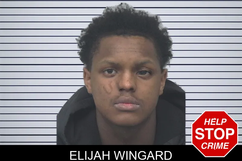 Elijah Wingard mugshot