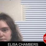 Elisa Chambers mugshot – Henry County , Georgia Elisa Chambers mugshot