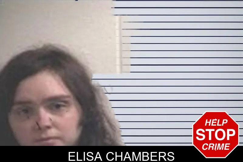Elisa Chambers mugshot