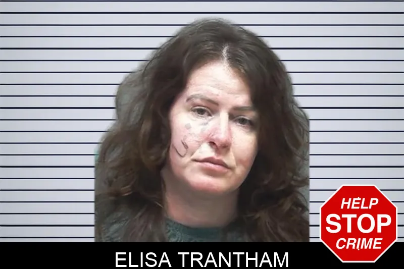 Elisa Trantham mugshot – Cherokee County , Georgia Elisa Trantham mugshot