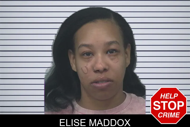 Elise Maddox mugshot
