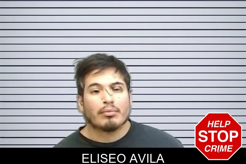Eliseo Avila mugshot