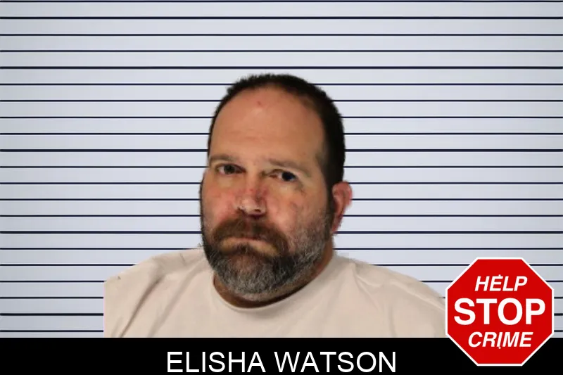 Elisha Watson mugshot – Hall County , Georgia Elisha Watson mugshot