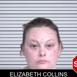Elizabeth Collins mugshot