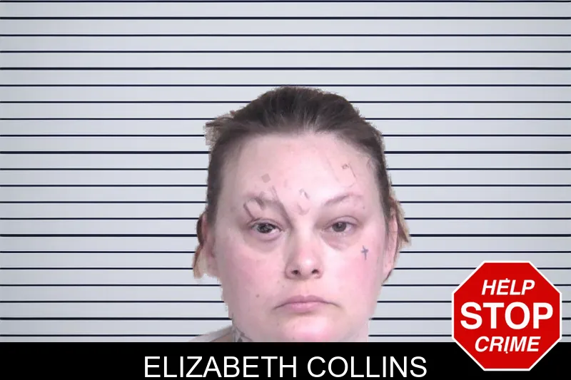 Elizabeth Collins mugshot